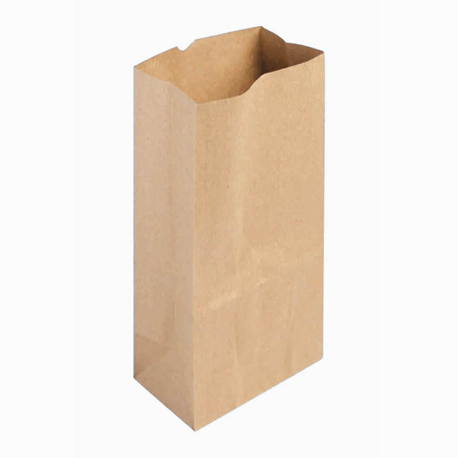 SACOS PAPEL 20X30 2KG SOUZAPEL 1X500UN 