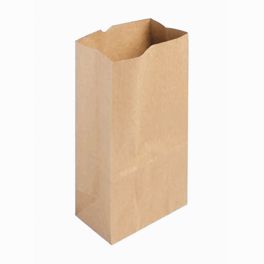 SACOS PAPEL 25X38 5KG SOUZAPEL 1X500UN 