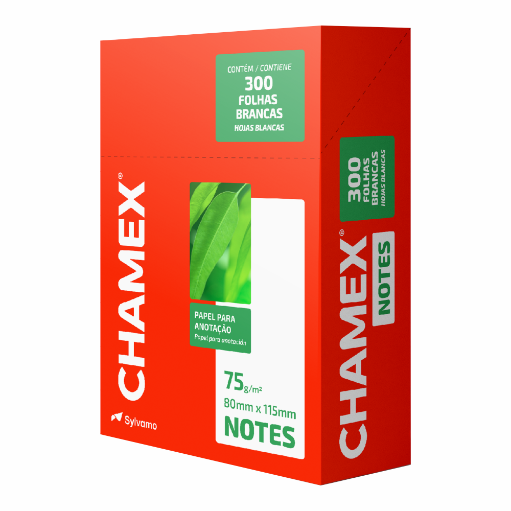 BLOCO ANOTACAO CHAMEX NOTES (1X300FLS)