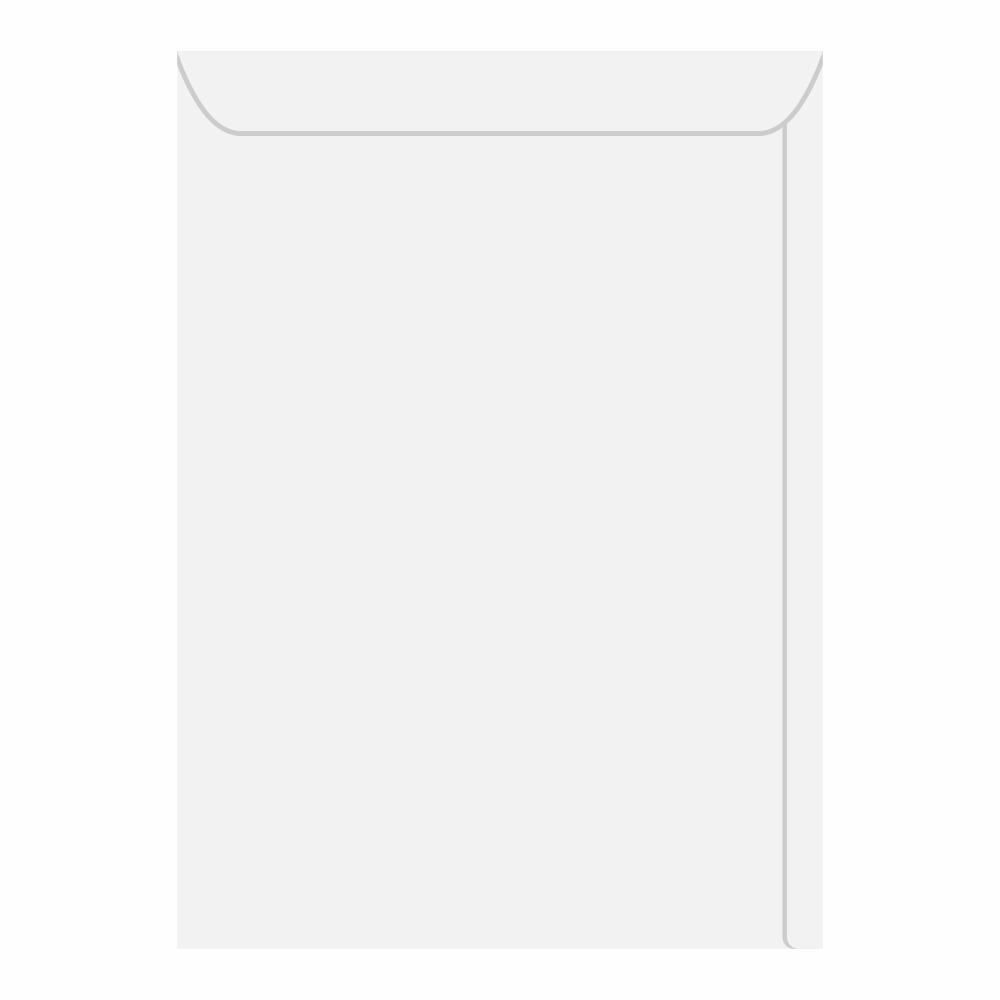 ENVEL BR A4 SACO 3300 229X324 FORO 1X250